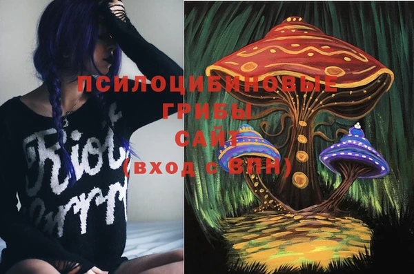 скорость Зеленокумск