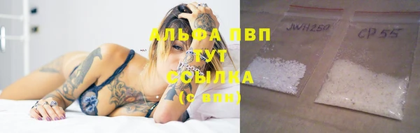 PSILOCYBIN Зерноград