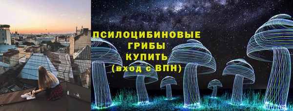 PSILOCYBIN Зерноград