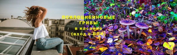 скорость Зеленокумск